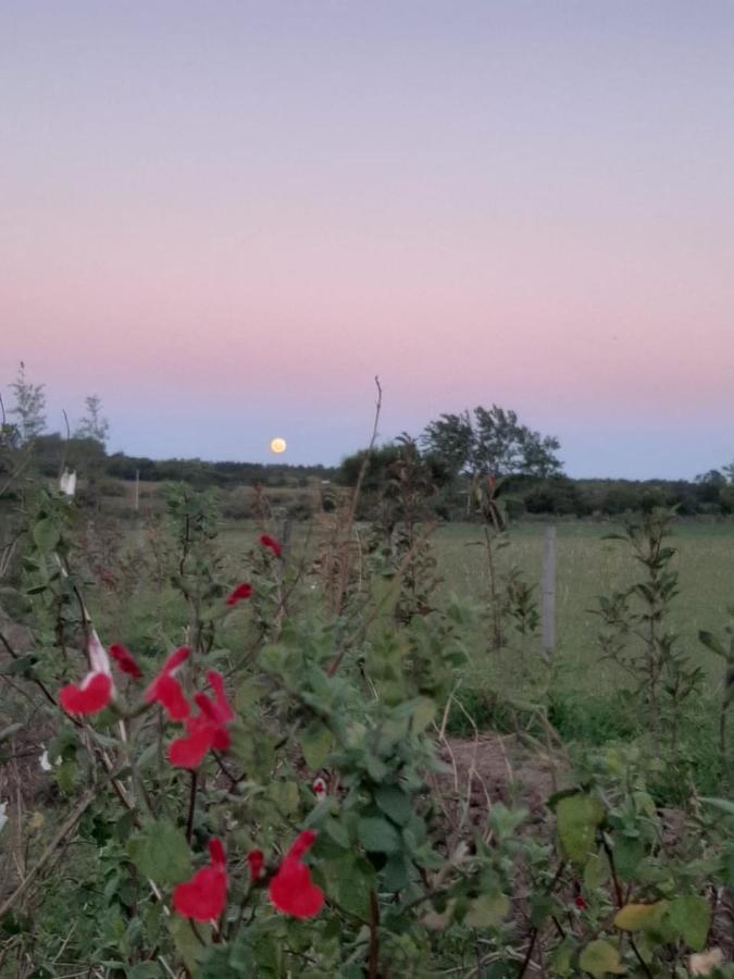 Tierra De Inmigrantes Villa Baradero Exteriör bild