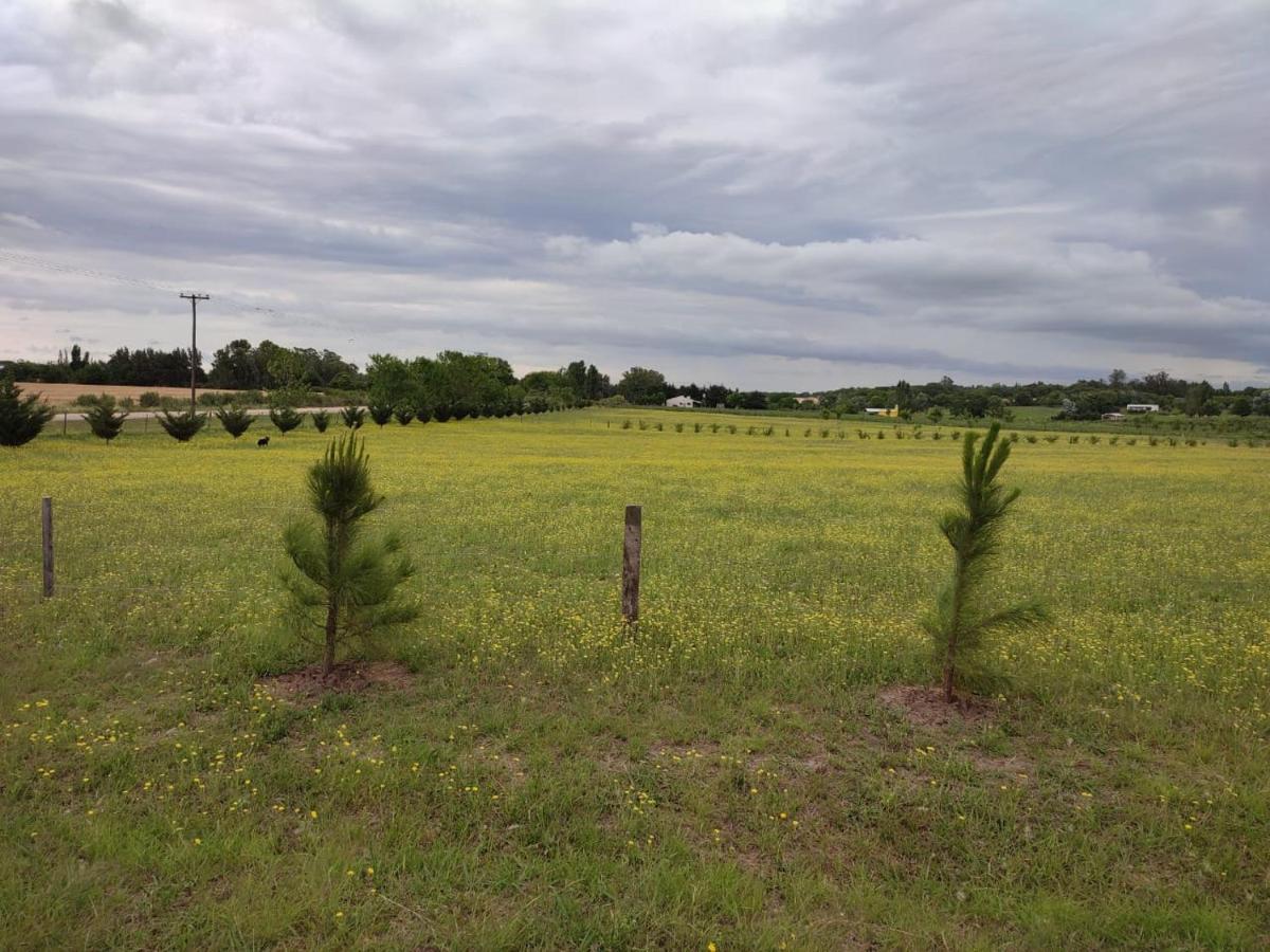 Tierra De Inmigrantes Villa Baradero Exteriör bild
